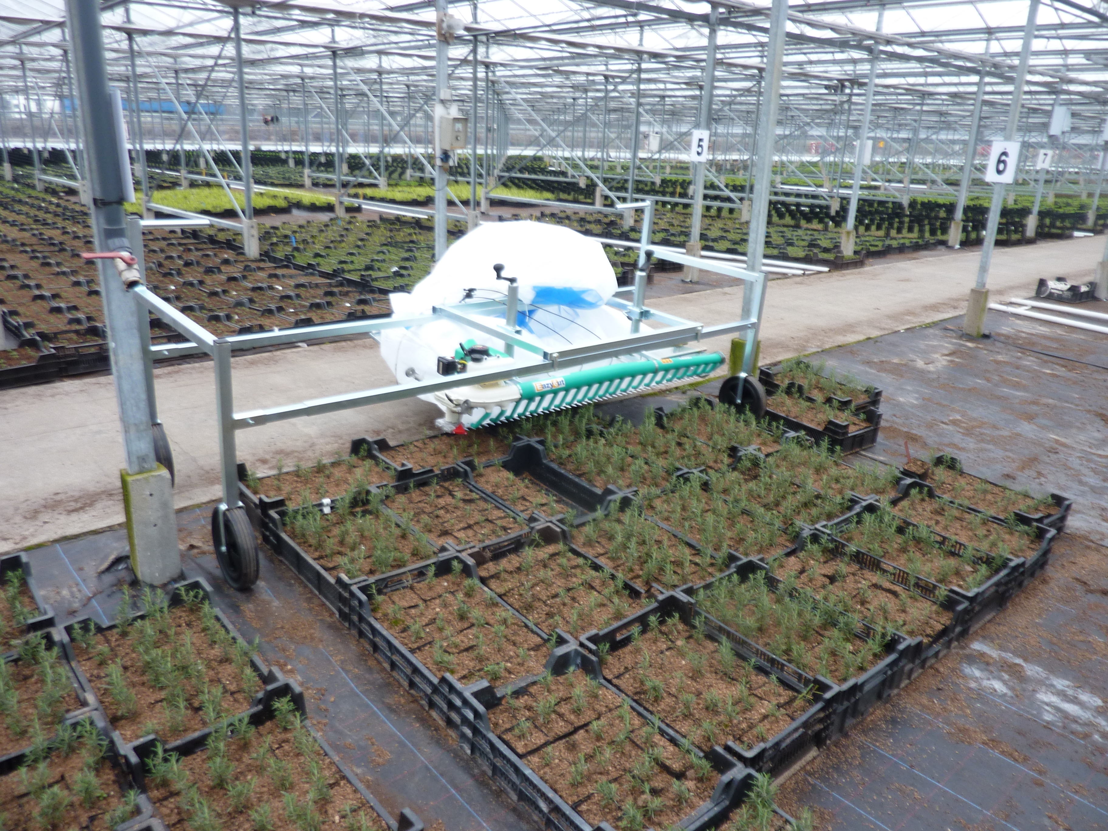 Uitschuifbaar Eazyframe om door de kas te rollen en planten te toppen, met instelbare maaihoogte.